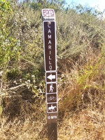 Camarillo Canyon Trail