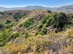 This is the type of terrain that we are used to when hiking in the OC wilderness areas.